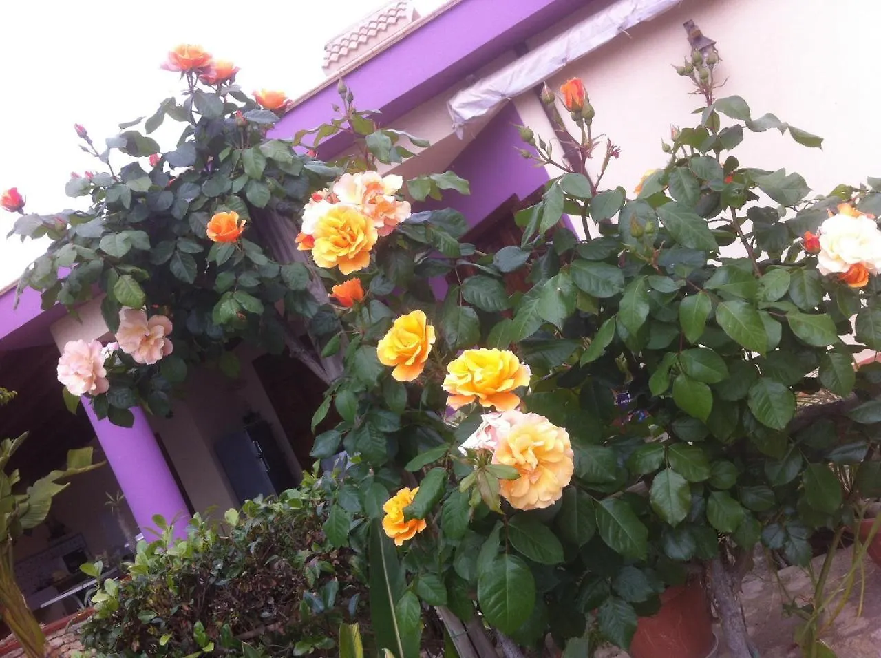 Casa Vacanze Surriano Sciacca Holiday home