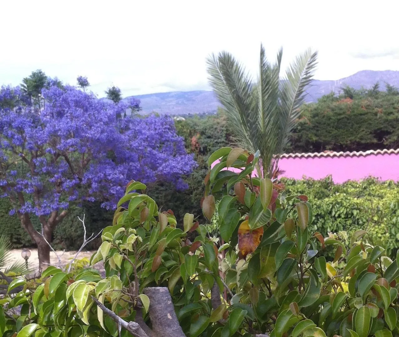 Holiday home Casa Vacanze Surriano Sciacca